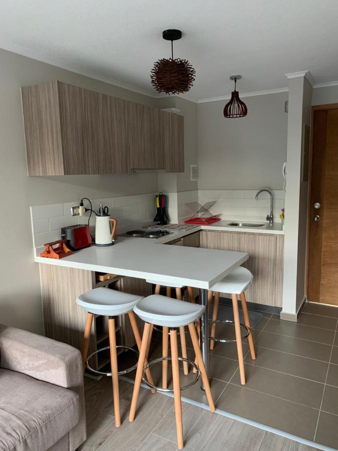 Apartmán Nuevo Y Muy Bien Equipado Departamento En Pucón Exteriér fotografie